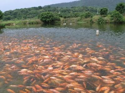 水產(chǎn)養(yǎng)殖水質(zhì)常規(guī)檢測(cè)的傳感器有哪些？